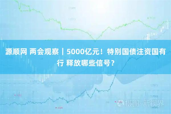 源顺网 两会观察｜5000亿元！特别国债注资国有行 释放哪些信号？