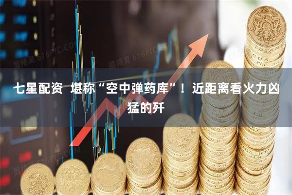 七星配资  堪称“空中弹药库”！近距离看火力凶猛的歼