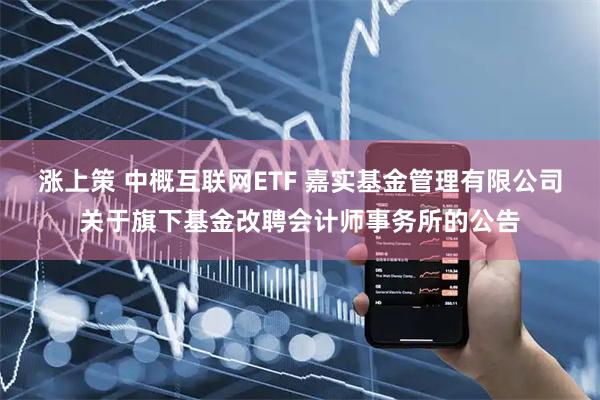 涨上策 中概互联网ETF 嘉实基金管理有限公司关于旗下基金改聘会计师事务所的公告